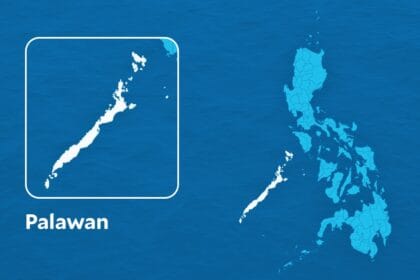 Report of Malaysian plane's emergency landing in Palawan a hoax