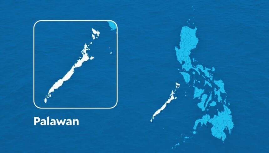 Report of Malaysian plane's emergency landing in Palawan a hoax