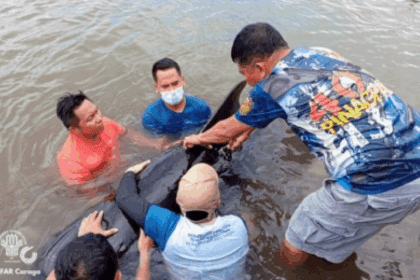 Stranded whale rescued in Agusan del Norte