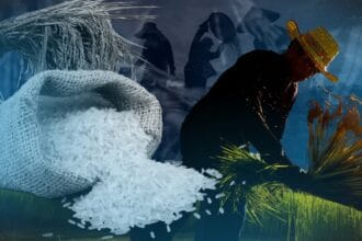 Why rice import suspension won’t be enough for PH farmers