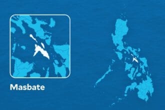 2 NPA members killed in Masbate clashes