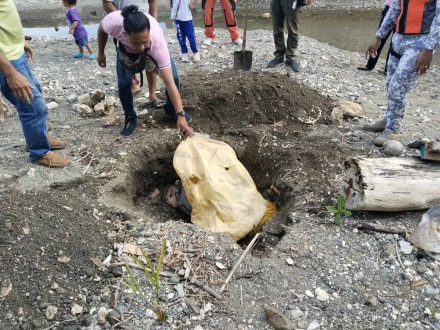 Critically endangered hawksbill sea turtle found dead in Bohol town