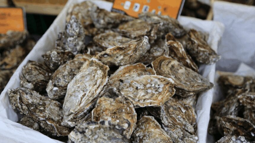 Red tide persists in 3 Eastern Visayas bays