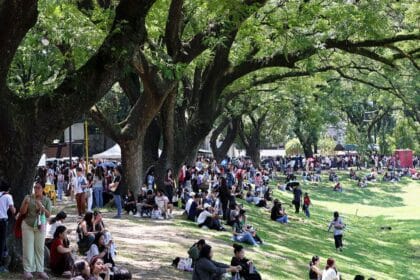 Solon cites ‘painful’ gap between `nepo babies,' ordinary students